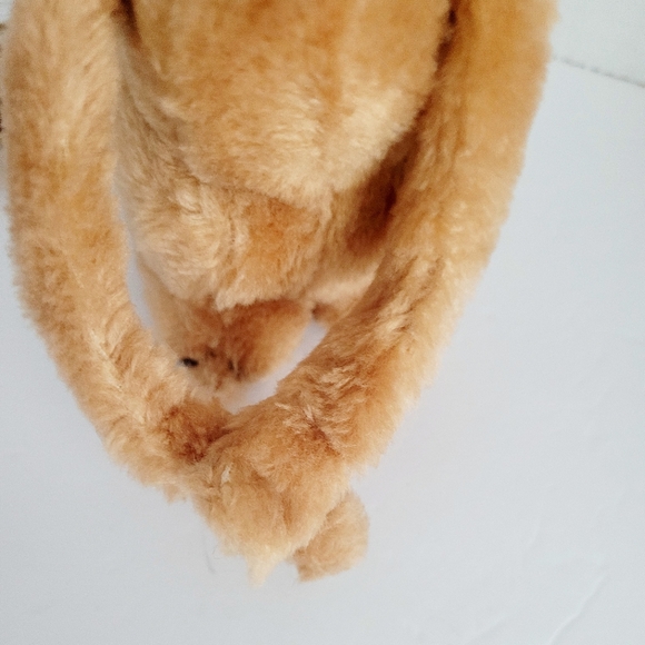 📌NA - Picture 7 of 12